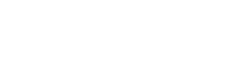 shopIntro